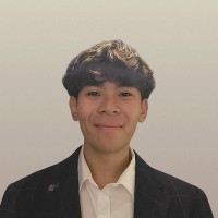 Quyen (Mario) Bui Linh