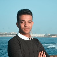 Ziad Abd Elkareem