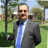 Fidel David Besora Sanroma