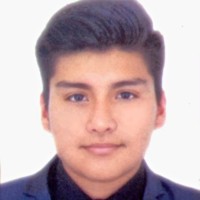 Mario Sebastian Salinas Valladares