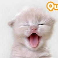 deisy flores villanueva