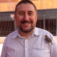 Andrés Salcedo Martinez