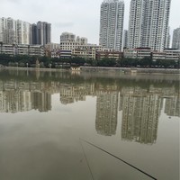 白顺平