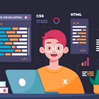 Web Dev Pro