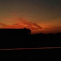 Arianna Galli Vicentini