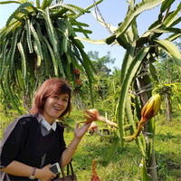 Indri Wulandari