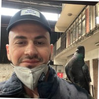 Aykut Seyhan