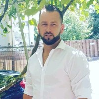 Ionut L Fanaru