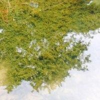 谢永文