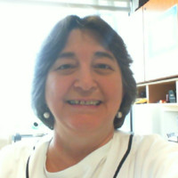 Vicki Morin