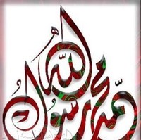 muhammad salim