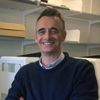 Stephen Rawlings