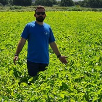 Manuel Guisado  Díaz