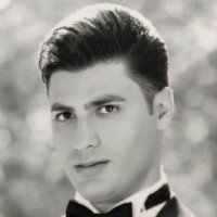 shahin safaeian
