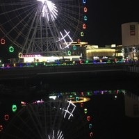 刘明悦