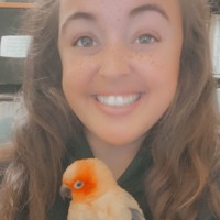 Cortney Norris