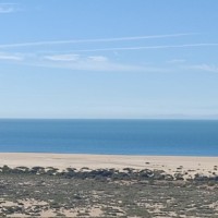 Jose Rey Niebla Rubio