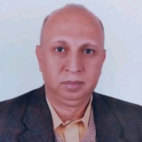 Hossam Waly