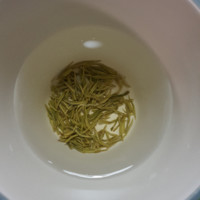 张康伟