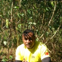 Malakai Tabualevu