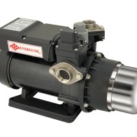 EVERGUSH PUMP~DAVID CHEN