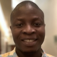 animasaun damilola