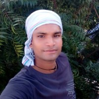 Ankit Kaushik