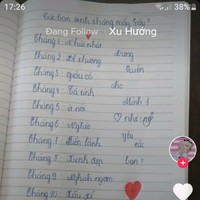 Vân Trần