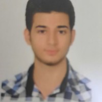 Mohammad Hossein Mehdizadeh Naderi
