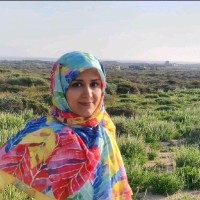 Nafiseh Forouzideh
