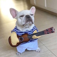 谭志权