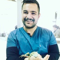 Onur Erzen