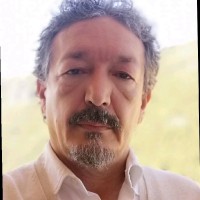 piermatteo d'amico