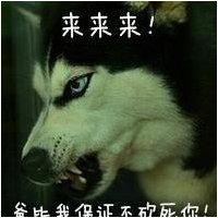 刘百超
