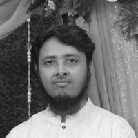Muhammad Ekhlasul Hoque
