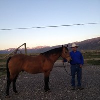 Alan London, Cpa