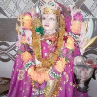 Manjibhai Rajput