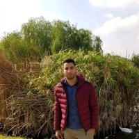 Mohammed El Attifi