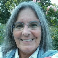 Anne Price, Ma, Lpcc-S