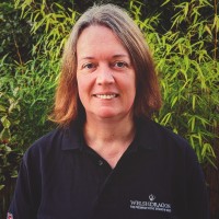 Angela Llewellyn