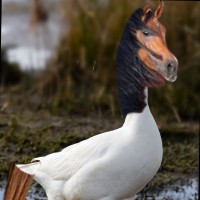 H I