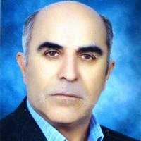 Saeid S.Seif