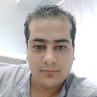 Abdel Fattah Ali Saleh