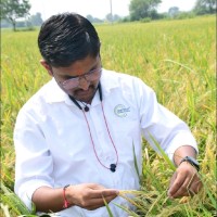 Ritesh Varma