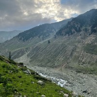 Azeem m