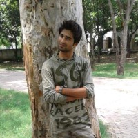 hassan raza