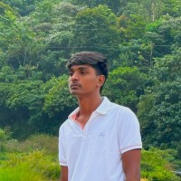 Raja N