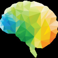 grey matter