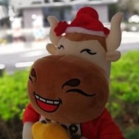 Bin Meng