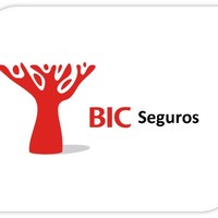 Vladimir Menezes Sousa